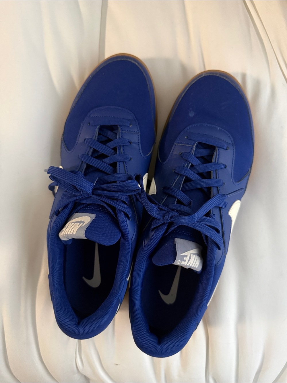 Nike Blue and White Low-Top Sneakers